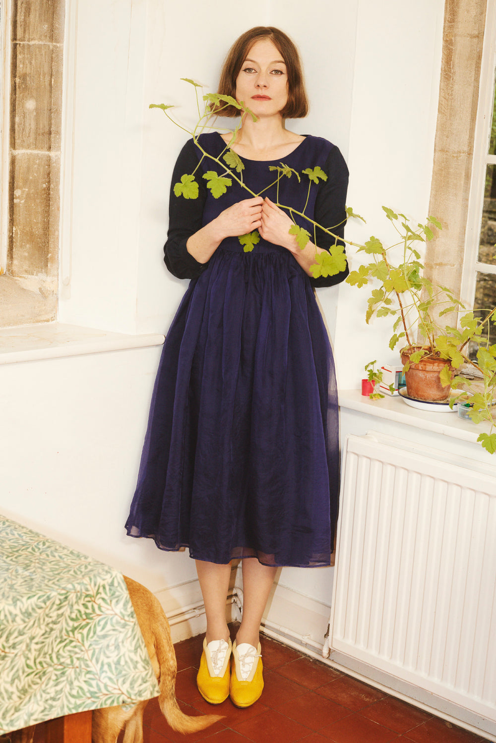 The Evangeline in Yellow Pony